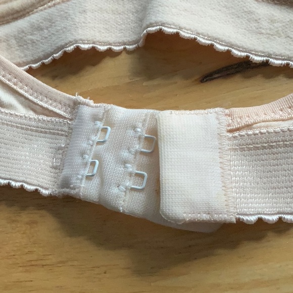 NWOT DOLCE & GABBANA INTIMO LE BONITAS COTTON BRA SZ S US30 - Picture 3 of 3